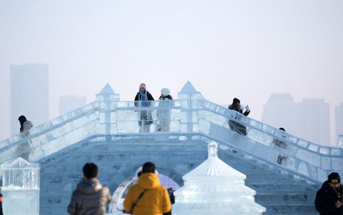 求解东北全面振兴 现象级冰雪热的启示