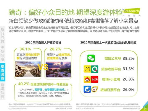 艾瑞咨询 2020年中国新白领消费行为研究报告